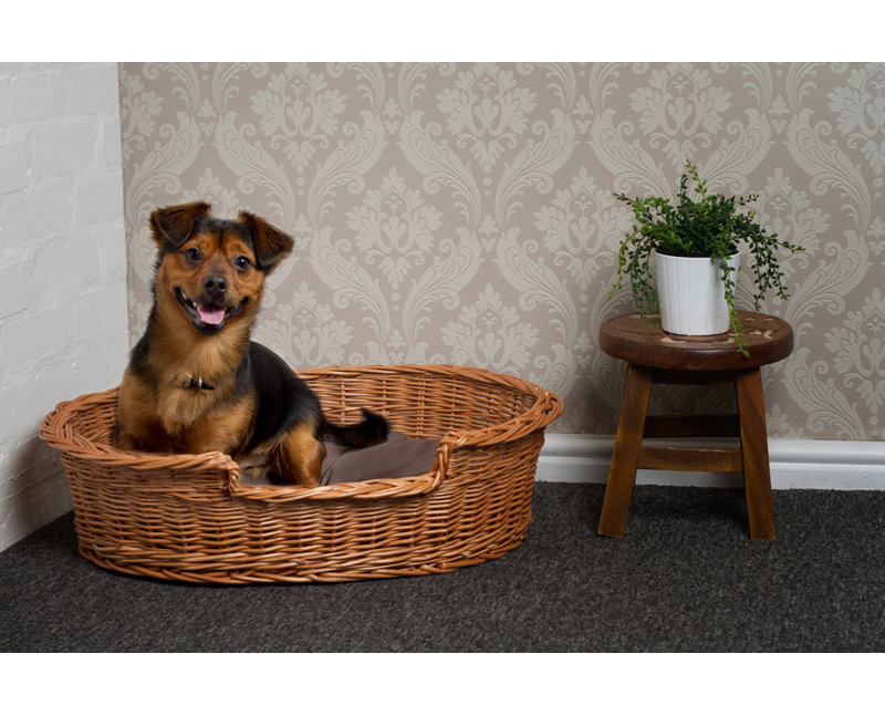 Prestige Wicker Dog Bed Basket in Brown & Reviews Wayfair.co.uk